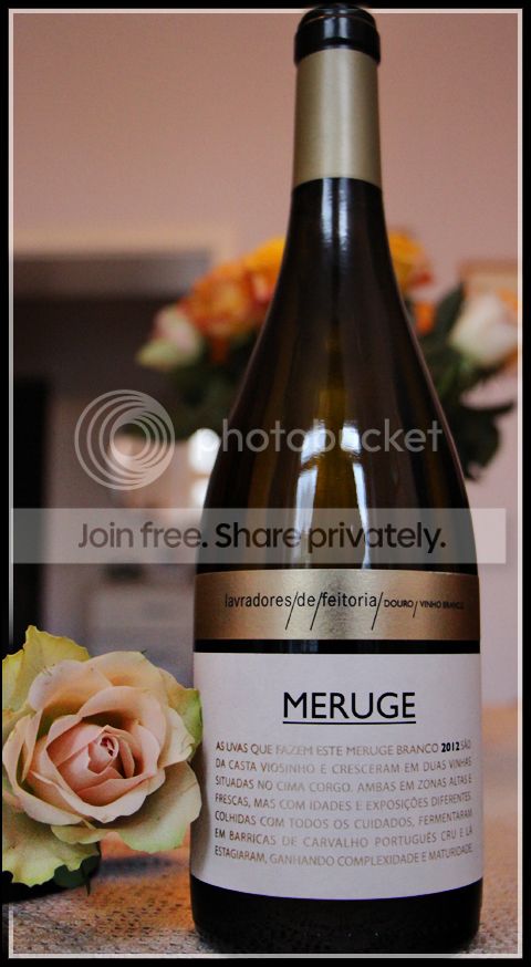 Meruge2012_480_zpsvbmild7r.jpg