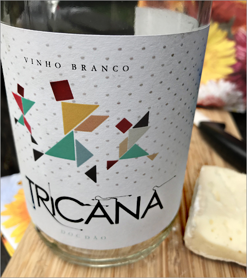 Tricana_BGranco_480.jpg