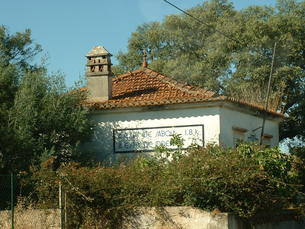 4923444.jpg