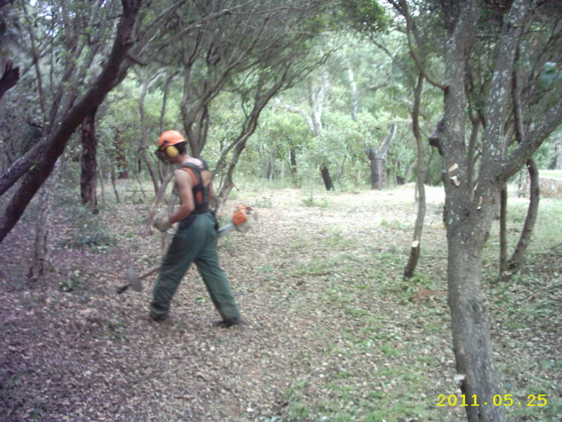 8052192laz.jpg