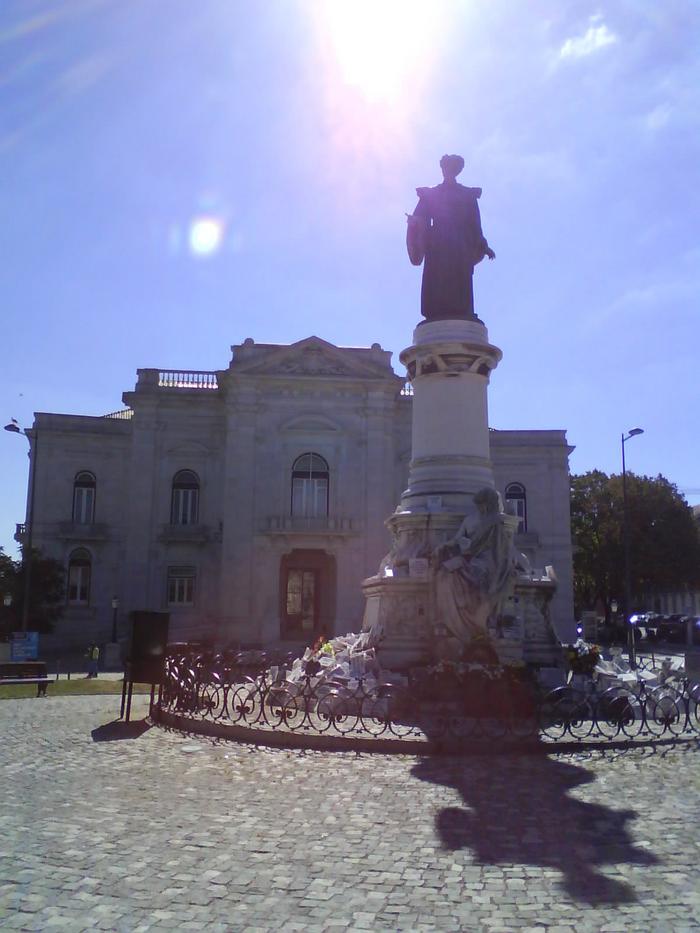 5334039.jpg