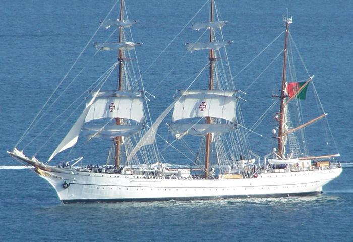 2345958.jpg