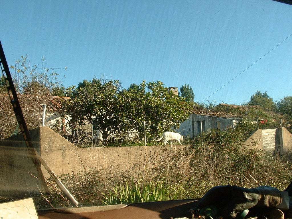 39410932oa.jpg