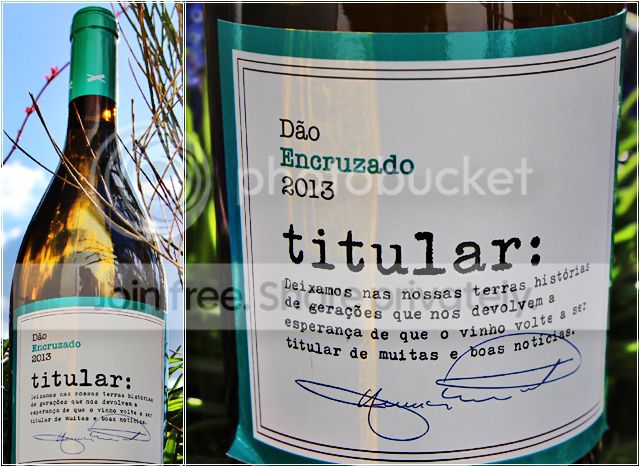 titular-encruzado2013_zpsft6osqzb.jpg