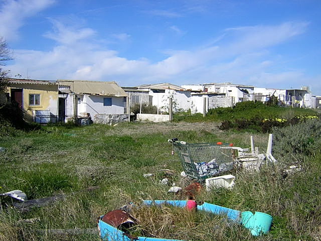 6249262rcd.jpg