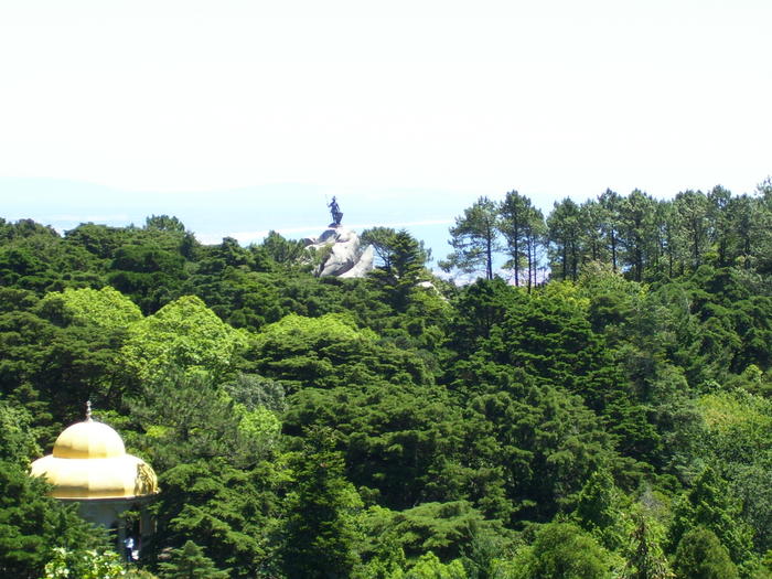 1914301.jpg