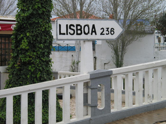 4324316.jpg