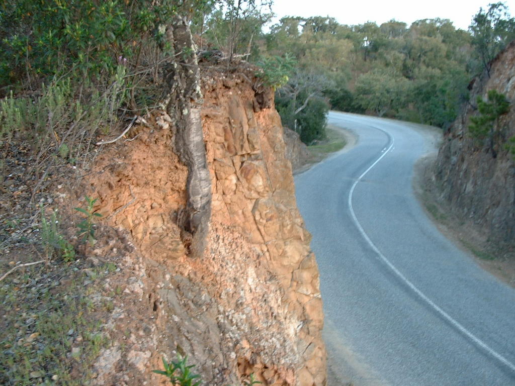 4840810.jpg
