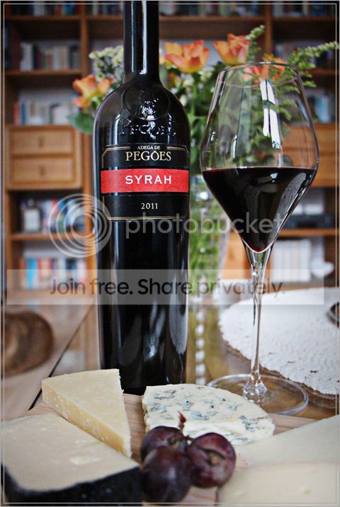 Pegoes_Syrah2011-480_zps72qvx3kg.jpg