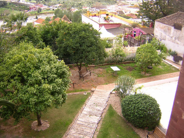 3759207.jpg
