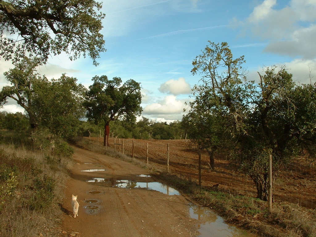 42456760ea.jpg