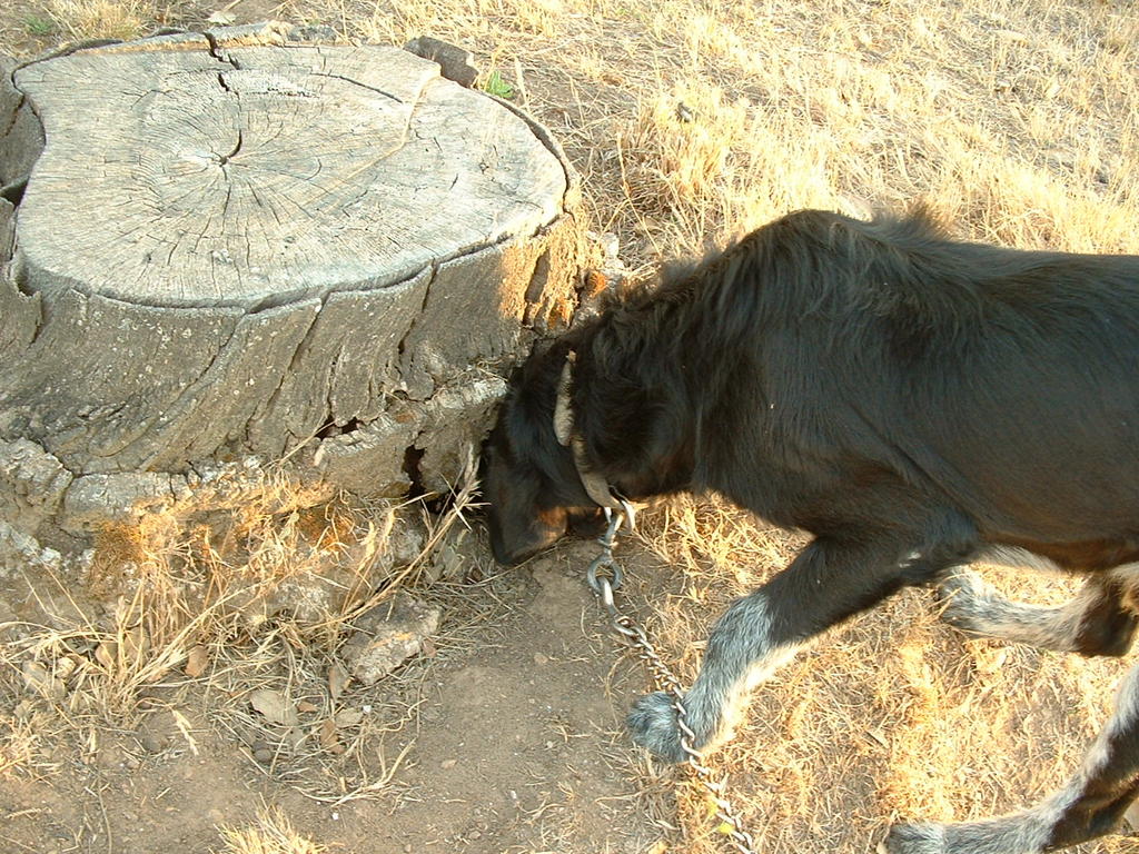 4854199.jpg