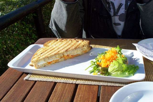 toastafrango.jpg
