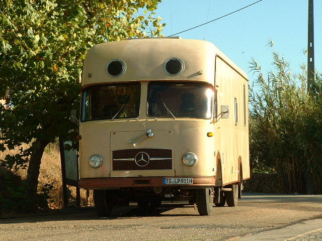 4849216.jpg