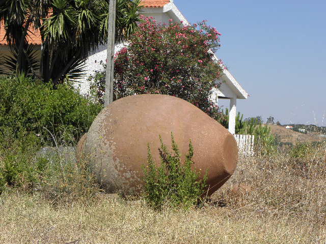 5030422.jpg