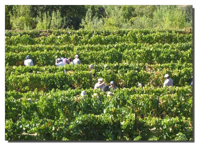 Douro02.jpg