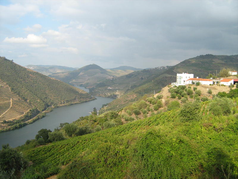 9614263dti.jpg