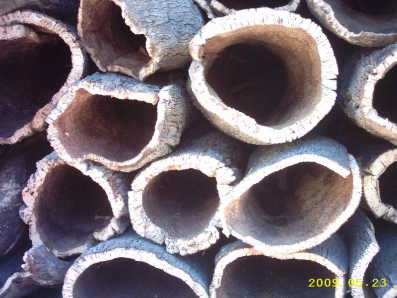 8052504hmd.jpg