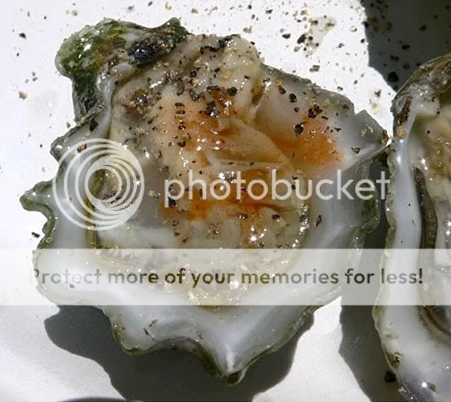 oyster_zoom.jpg