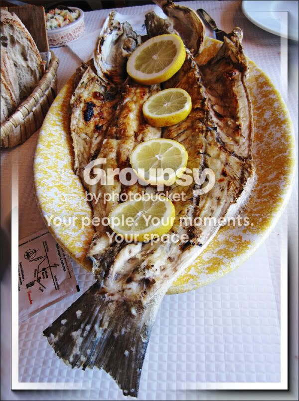 Robalo_Ericeira600.jpg