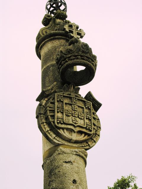 4631783.jpg