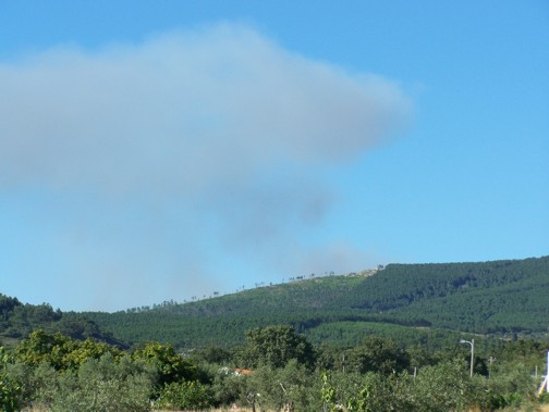 4853640.jpg